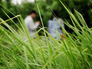 Gaya Unik Pacaran Pemuda Pemudi Desa Agraris yang Bikin Meringis