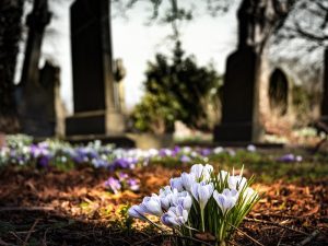 Apa Salahnya Prabowo Ziarah Ke Makam Pak Harto?
