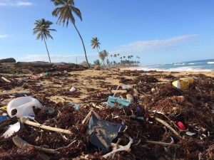 4 Langkah untuk Mengurangi Penggunaan Plastik Pribadi