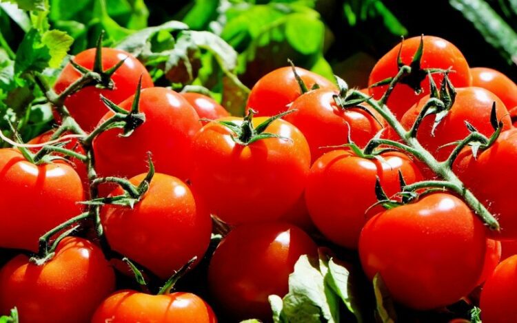 5 Tips Membedakan Saus Tomat Asli dengan Saus Tomat Palsu yang Bau Kaki