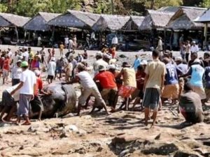 Lamalera dan Rindu yang Tak Kunjung Selesai