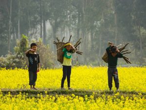 Macam-macam Pribadi Manusia Saat Tradisi Gugur Gunung atau Kerja Bakti di Desa
