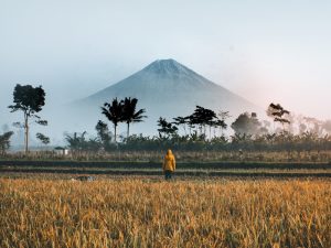 Ambyarnya Bahasa Jawa si Anak Pendatang Berakhir Dicap Tidak Sopan
