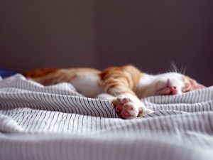 Dulu Ibu Menyuruh Kami Tidur Siang Sepulang Sekolah, Tapi Saat Libur Kuliah Kami Disuruh Main-Main