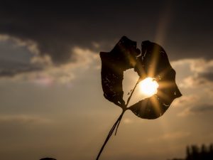 Kenapa Mudah Sekali Sakit Hati? Kasihan Hatinya