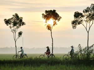 Hal-Hal yang Bakal Kamu Temui dan Rasakan Ketika Berada di Desa