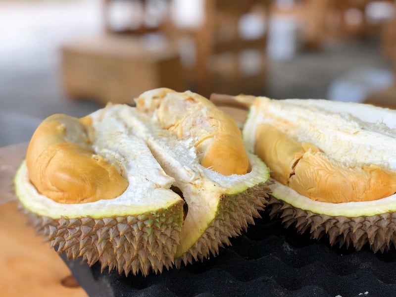 Sungguh Malang Nasib Orang yang Nggak Doyan Makan Durian terminal mojok.co