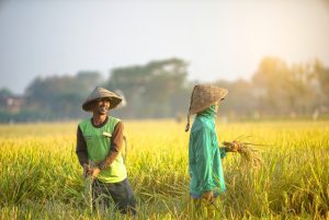 Selamat Hari Tani Nasional!