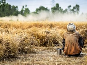 Jangan Heran, Orang Madura Memang Harus Demo Apalagi Menyangkut Harga Tembakau