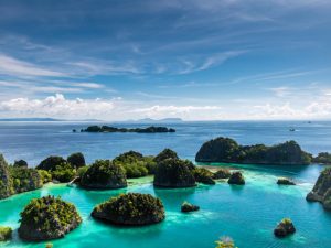 Masalah Papua Merupakan Urusan Dalam Negeri Indonesia