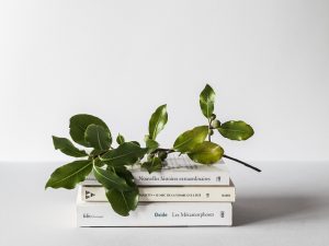 Ngaku Pencinta Buku tapi Masih Saja Melakukan Book Shaming?