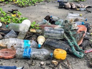 Plastik Tercipta untuk Selamatkan Bumi, Sekarang Malah Jadi Masalah Lingkungan