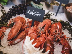 Ketimbang Ekspor Benih Lobster, 3 Alternatif Berikut Jauh Lebih Masuk Akal