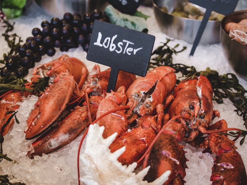 Alternatif Produk Lobster yang Menggiurkan ketimbang Ekspor Benihnya terminal mojok.co