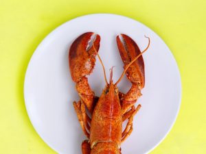 Saya Pelaku Bisnis Seafood Export, dan Ide Ekspor Benih Lobster Itu Aneh!