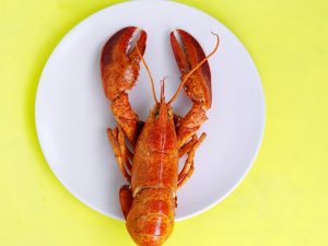 Pak Menteri, Kebijakan Ekspor Benih Lobster Itu Sungguh Brilian!