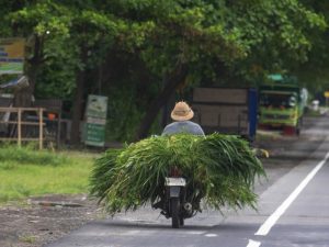 5 Gaya Komunikasi Pandeglang yang Jadi Ciri Khas