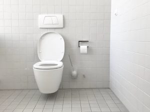Saya Mencari Faedah Bawa HP ke WC Tiap Mau Boker, Ternyata Tidak Menemukan Apa-Apa