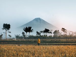 Membela Pemerintah Soal Pentingnya Pariwisata di Tengah Pandemi Corona