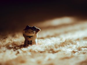 Menguak Misteri Keberadaan Patung Kucing di Sebuah Toko China
