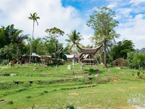 Filosofi “Lendu’na Salubarani, Tawana Mo Tau To” dalam Kisah LDR Anak Muda Toraja