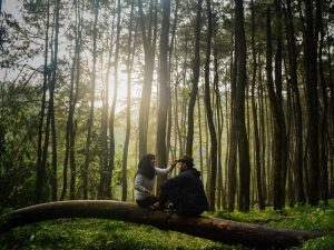 IPB, Kampus Paling Romantis se-Indonesia
