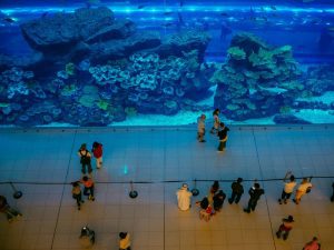 Pengalaman Nongkrong di Dubai Mall, Mal Paling Besar di Dunia