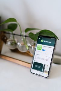 Anehnya Orang-Orang di Grup WhatsApp yang Nggak Mau Nampilin Nama Aslinya Sendiri