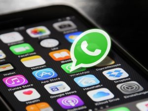 5 Macam Grup WA yang di Dalamnya Saya Milih Jadi Anggota “Hantu” Aja