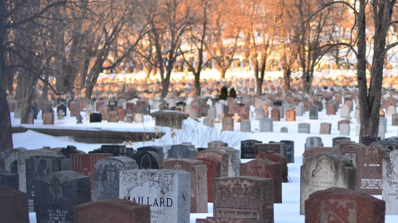 Contoh Kalimat Berpamitan Dalam Bahasa Jawa Latihan Online