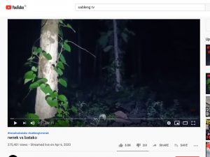 Tonton Channel-channel YouTube Ini, Dijamin Nggak Takut Setan Lagi