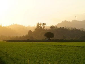 Tiga Tipe Alternatif KKN UINSA yang Tidak Sebatas Kuliah Kerja Maya