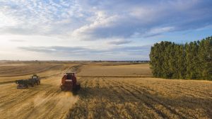 Ternyata, Karakter Utama Harvest Moon Back to Nature Adalah Seorang Penikung