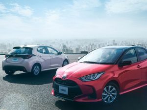 Etios Valco Dibunuh Kakak Kembarnya yang Lahir dari Rahim Berbeda
