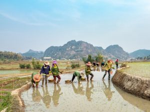Asalkan Sedikit Materialistis, Orang-orang Desa Bisa Kaya Dengan Mudahnya