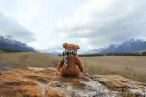 Menerka Perasaan Teddy, Boneka Kesayangan Mr. Bean Lewat Caranya Diperlakukan