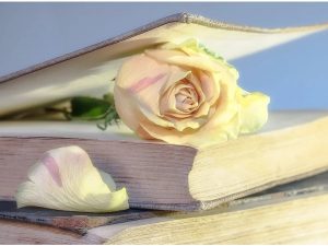 Pengalaman Saya Ditipu Penjual Buku Online, Bilangnya Buku Original Ternyata Bajakan