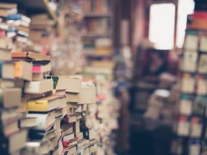 Anggapan Mahasiswa Rajin ke Perpustakaan Pasti Pintar Itu Sama Sekali Nggak Benar