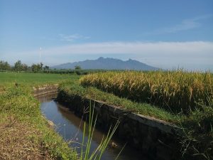 Nggak Enaknya Jadi Orang Pati Itu Ketika Ditanya Asal Daerah