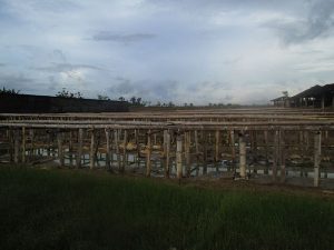 Perkenalkan Grobogan, Daerah Pinggir Pantura yang Orangnya Nyah-nyoh Pol