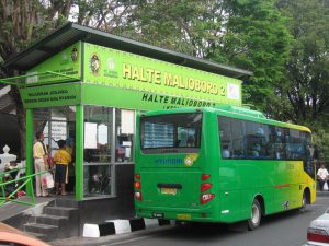 Kapok Naik Trans Jogja Setelah Satu Kali Mencobanya
