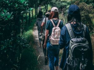 Menyoal Larisnya Konten Horor Pendakian Gunung dan Nyinyiran pada Konten Romantismenya