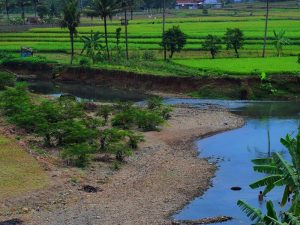 Biar Kalian Nggak Bingung, Saya Kasih Tahu Bedanya Purwokerto dan Banyumas