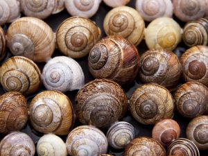 Review Snail Truecica Miracle Repair Serum, Manfaat Sesuai Klaimnya