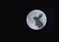kisah kelinci di bulan permukaan bulan menyerupai kelinci kebudayaan jawa jepang tiongkok mojok.co
