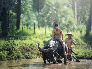 Alasan Anak Petani Tidak Bercita-cita Menjadi Petani