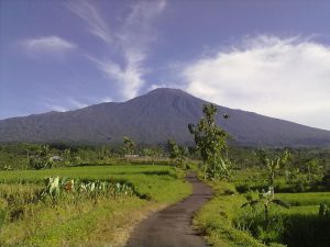 Nopia, Makanan Khas Banyumas yang Selama Ini Dianaktirikan