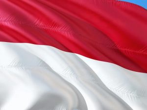 Menjelaskan Peran Milenial kepada Bu Megawati Adalah Hal yang Sia-sia