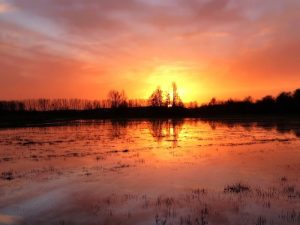 Saatnya Blak-blakan soal Penyebab Banjir Kalimantan Selatan. Sama-sama Tahu lah!