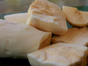 Gatot, Makanan Khas Gunungkidul Saksi Masa Perjuangan Indonesia